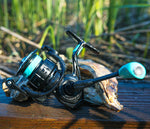 Elite Carbon Series Spinning Reels